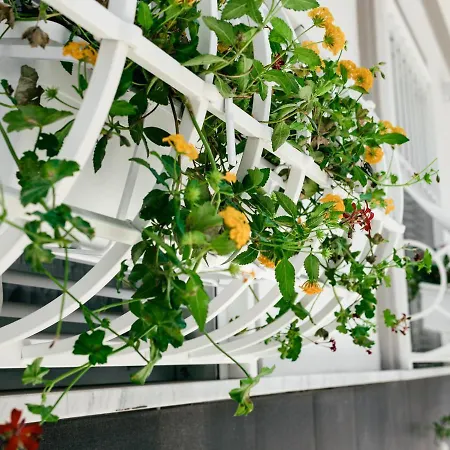 Готель типу 